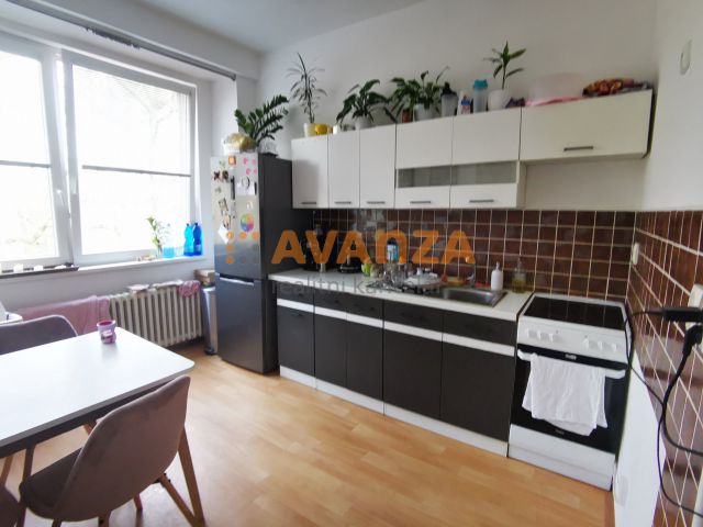 Obrázek k zakázce č.: 529383